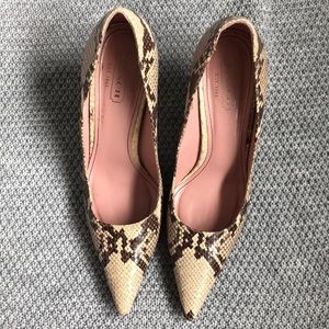 Coach Snakeskin Heel